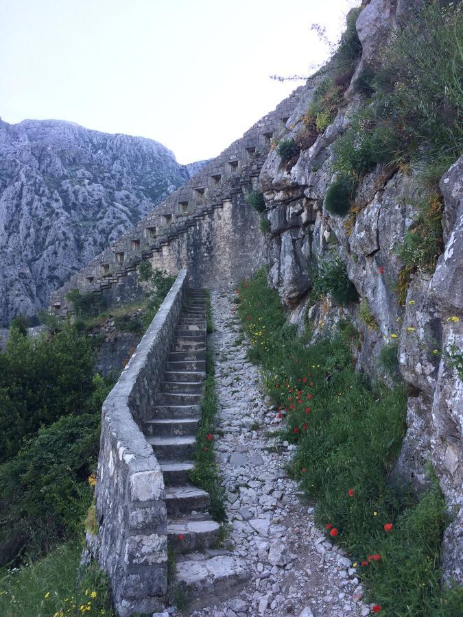 Chic & Stylish With Seaview-Terrace - Kotor Indah Daire Dış mekan fotoğraf